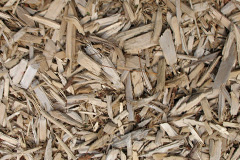 biomass boilers Durdar